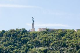 IMG_2177r.jpg