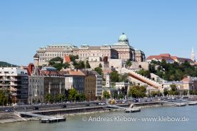 IMG_2182r.jpg