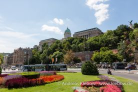 IMG_2194r.jpg
