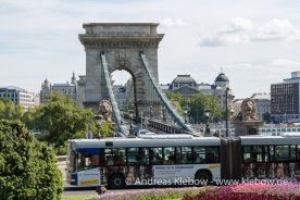 IMG_2196r.jpg