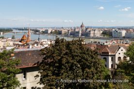 IMG_2203r.jpg