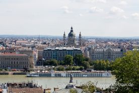 IMG_2204r.jpg