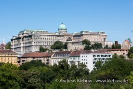 IMG_2222r.jpg