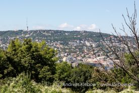 IMG_2226r.jpg