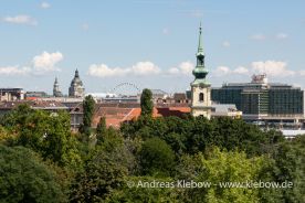 IMG_2228r.jpg