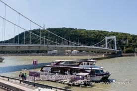 IMG_2240r.jpg