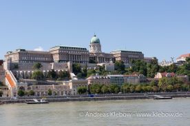 IMG_2250r.jpg