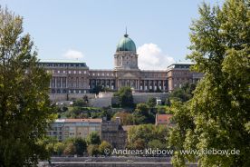 IMG_2270r.jpg