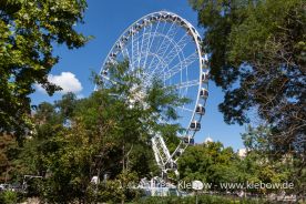 IMG_2282r.jpg