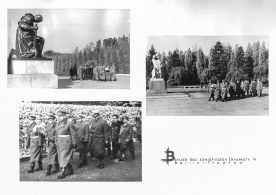 CdVM0163.jpg