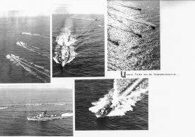 CdVM0167.jpg