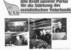 CdVM0255.jpg