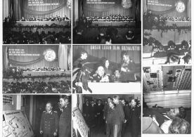 CdVM0378.jpg