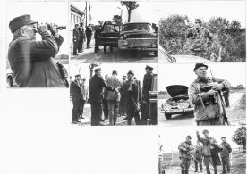 CdVM1437.jpg