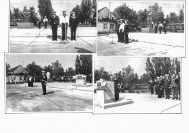 CdVM1578.jpg