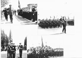 CdVM1784.jpg