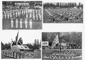 CdVM2061.jpg
