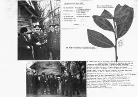 CdVM2261.jpg