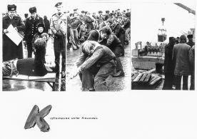 CdVM2271.jpg