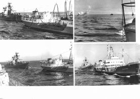 CdVM2845r.jpg