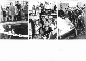 CdVM2420r.jpg