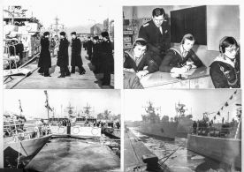 CdVM2454r.jpg