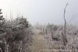 IMG_5564r.jpg
