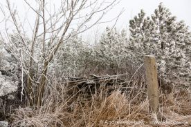 IMG_5587r.jpg