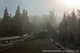 IMG_5604r.jpg
