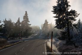 IMG_5612r.jpg