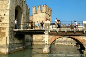 IMG_2336r.jpg