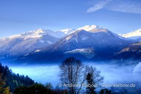 IMG_2479r.jpg