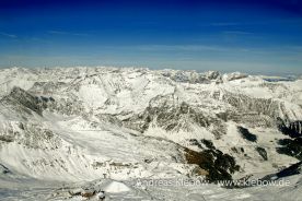 IMG_2511r.jpg