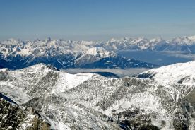 IMG_2517r.jpg