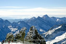 IMG_2536r.jpg