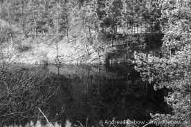 b0038r.jpg