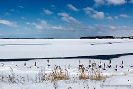img_9562r_web