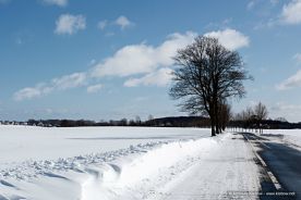 img_9611r_web