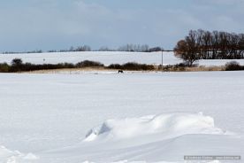 img_9615r_web