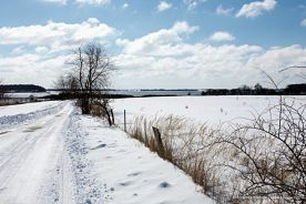 img_9624r_web