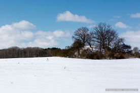img_9626r_web