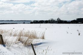 img_9628r_web