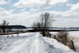 img_9629r_web