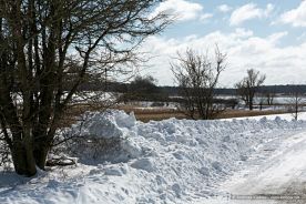 img_9630r_web
