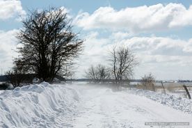 img_9636r_web