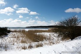 img_9658r_web