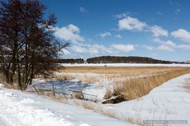 img_9664r_web