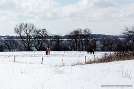 img_9677r_web