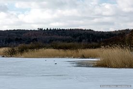 img_9691r_web