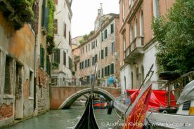 IMG_2443r.jpg